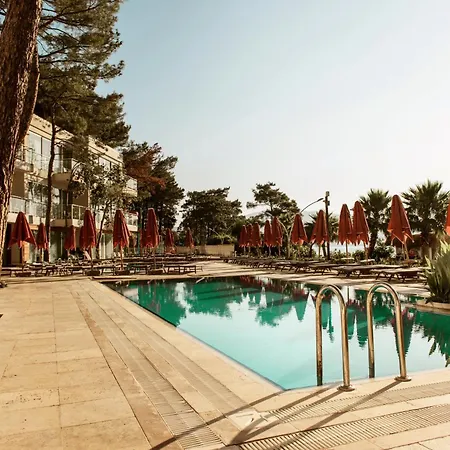 Orka Lotus مرمريس