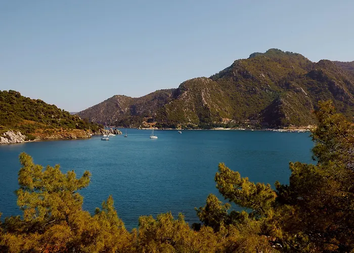 Orka Lotus 5* Marmaris